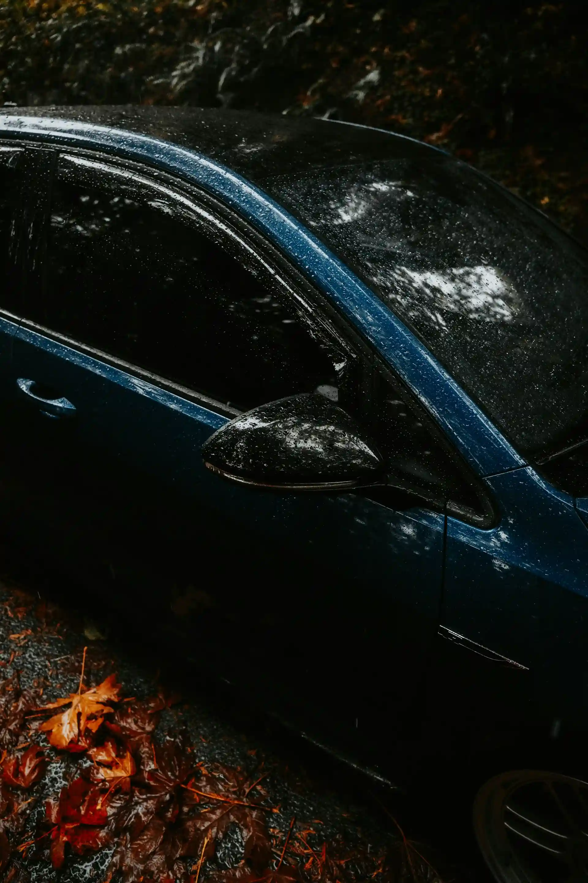 Header Background